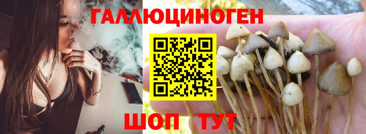Рыбинск  Галлюциногенные грибы MAGIC MUSHROOMS  Псилоцибиновые грибы ЛСД  Вход с VPN 