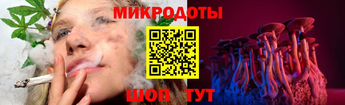 Псилоцибиновые грибы мицелий Рыбинск